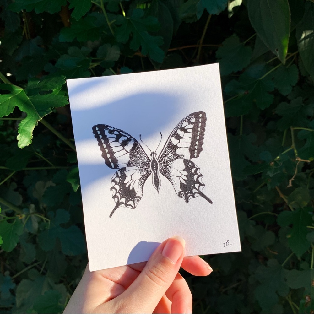 Detailed butterfly drawing | mini art fairy core aesthetic